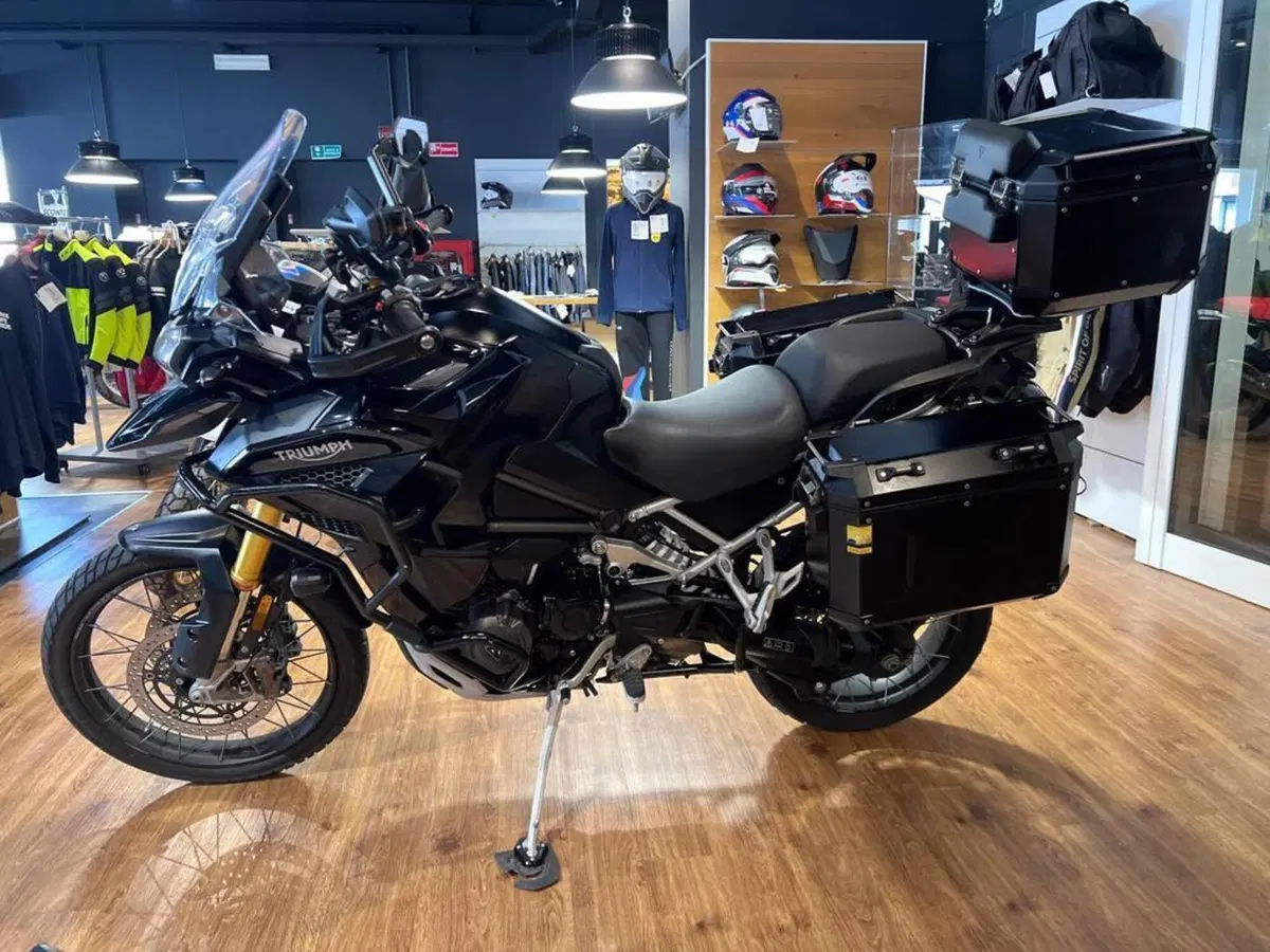Triumph Tiger 1200 Rally Explorer (2022 - 23) (5)