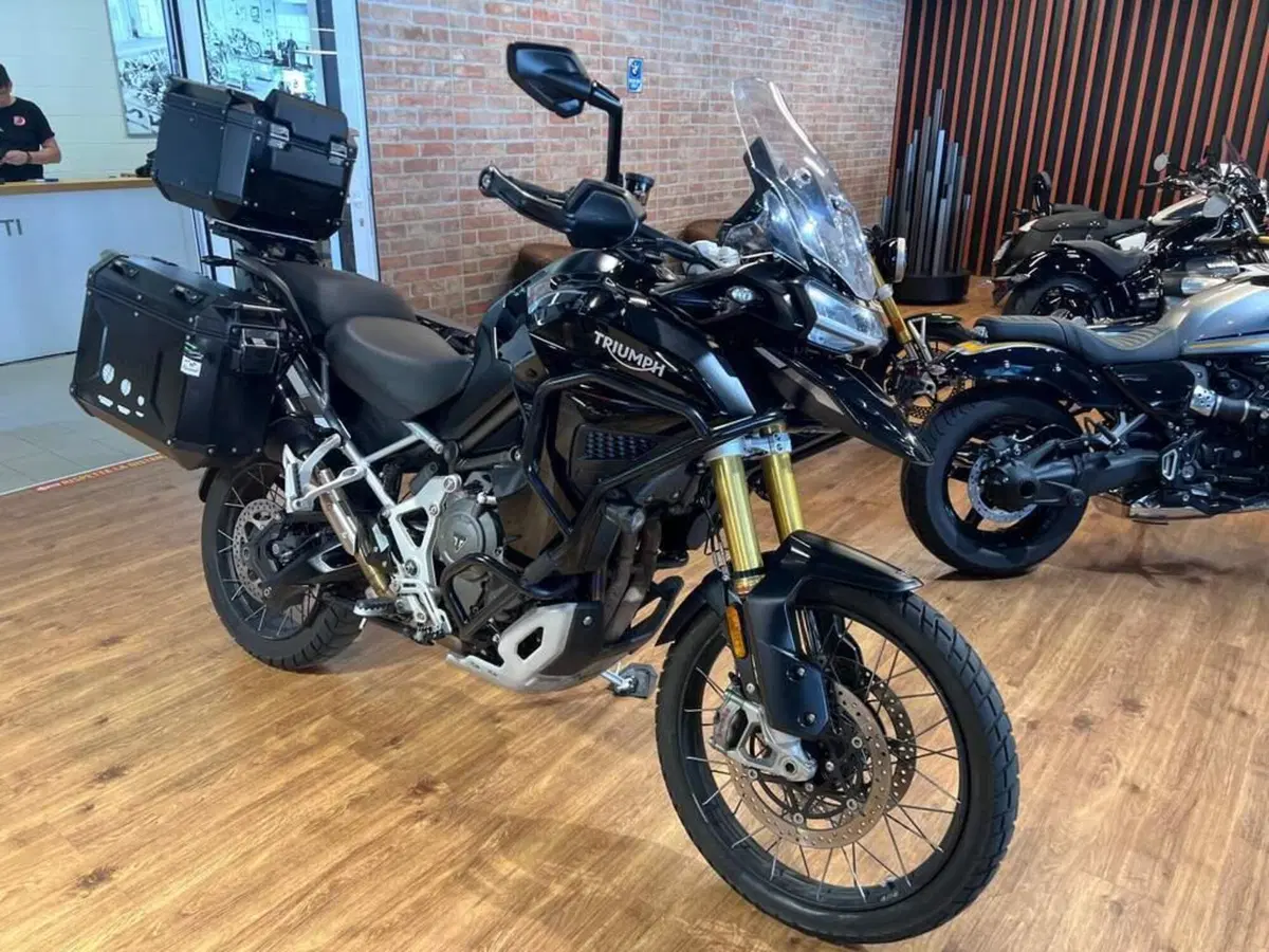 Triumph Tiger 1200 Rally Explorer (2022 - 23) (2)