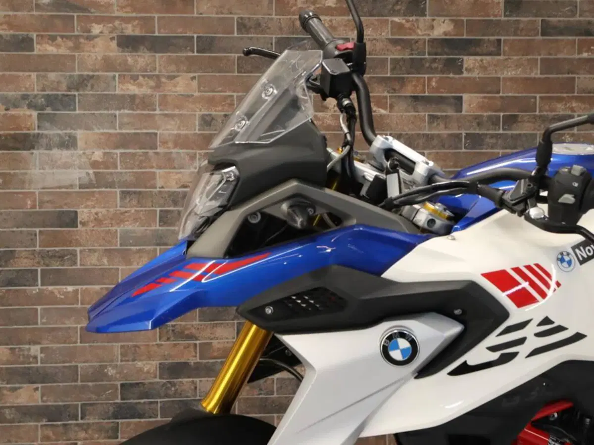 Bmw G 310 GS (2021 - 25) (11)