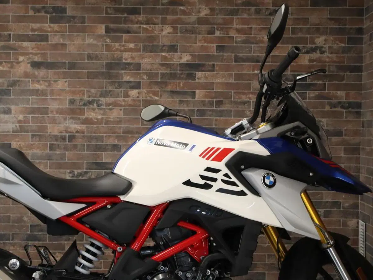 Bmw G 310 GS (2021 - 25) (8)