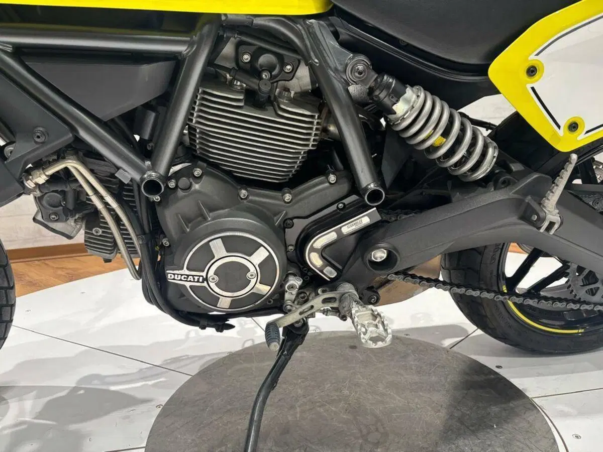 Ducati Scrambler 800 Flat Track Pro (2016 - 17) (14)