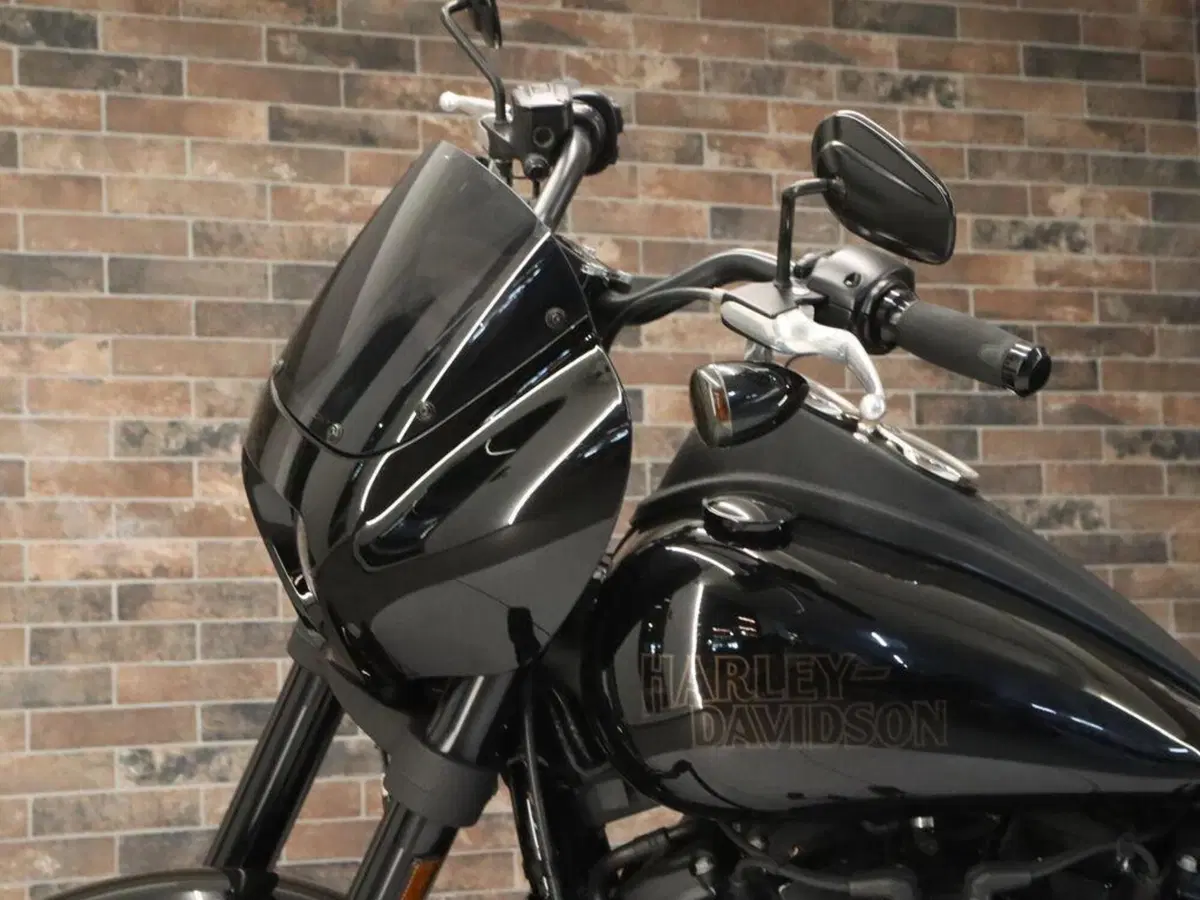 Harley-Davidson 114 Low Rider S (2020) - FXLRS (10)
