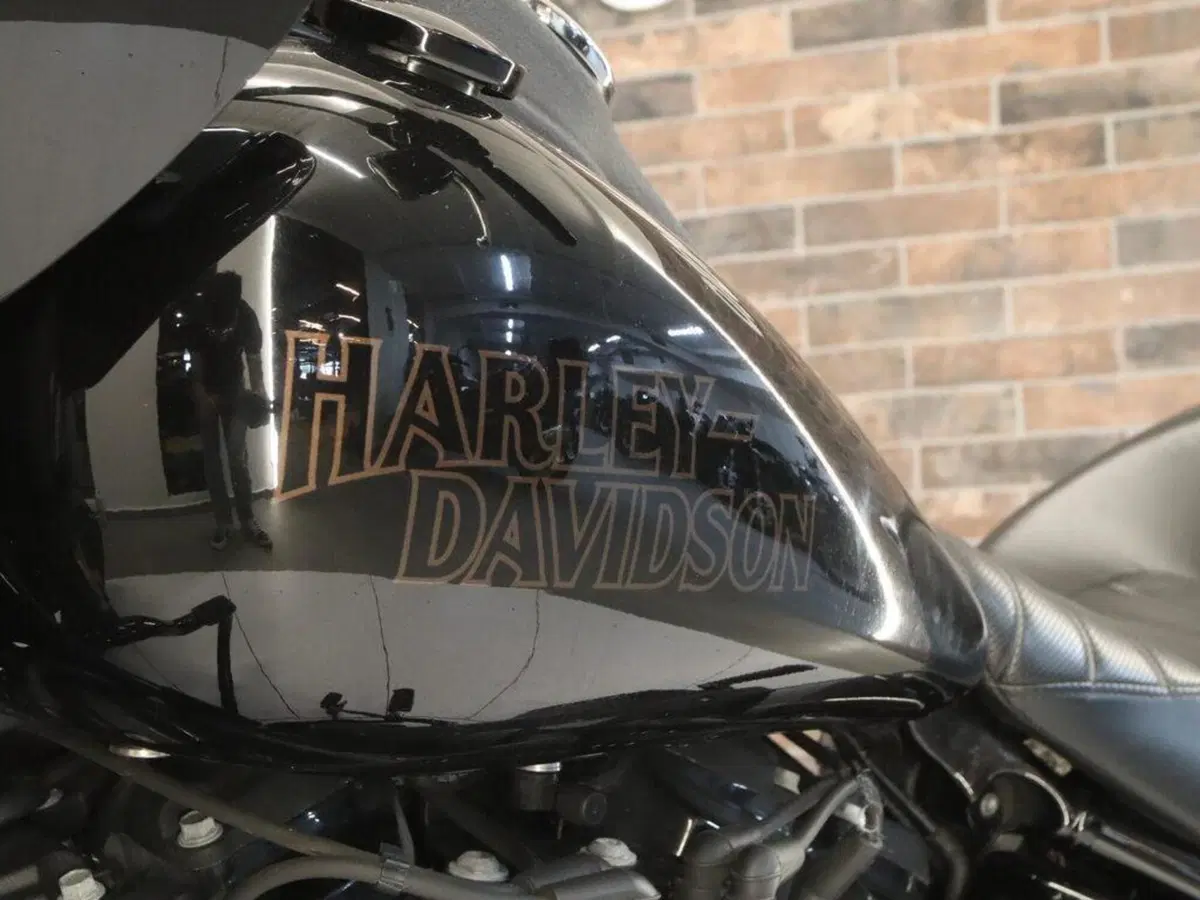 Harley-Davidson 114 Low Rider S (2020) - FXLRS (11)