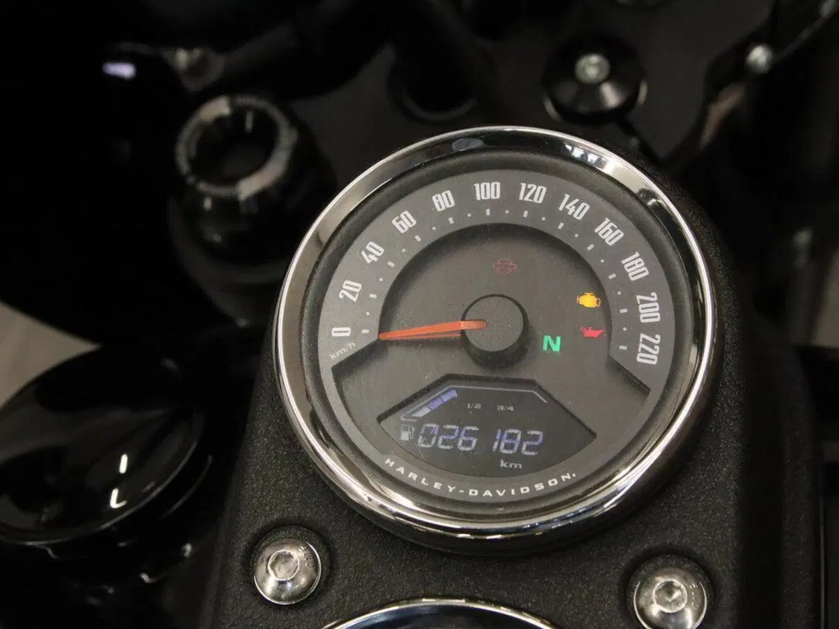Harley-Davidson 114 Low Rider S (2020) - FXLRS (15)