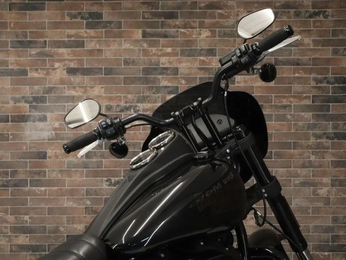 Harley-Davidson 114 Low Rider S (2020) - FXLRS (9)