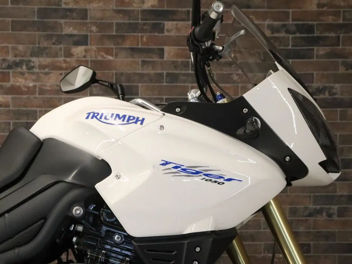 Triumph Tiger 1050 ABS (2006 - 12) (7)