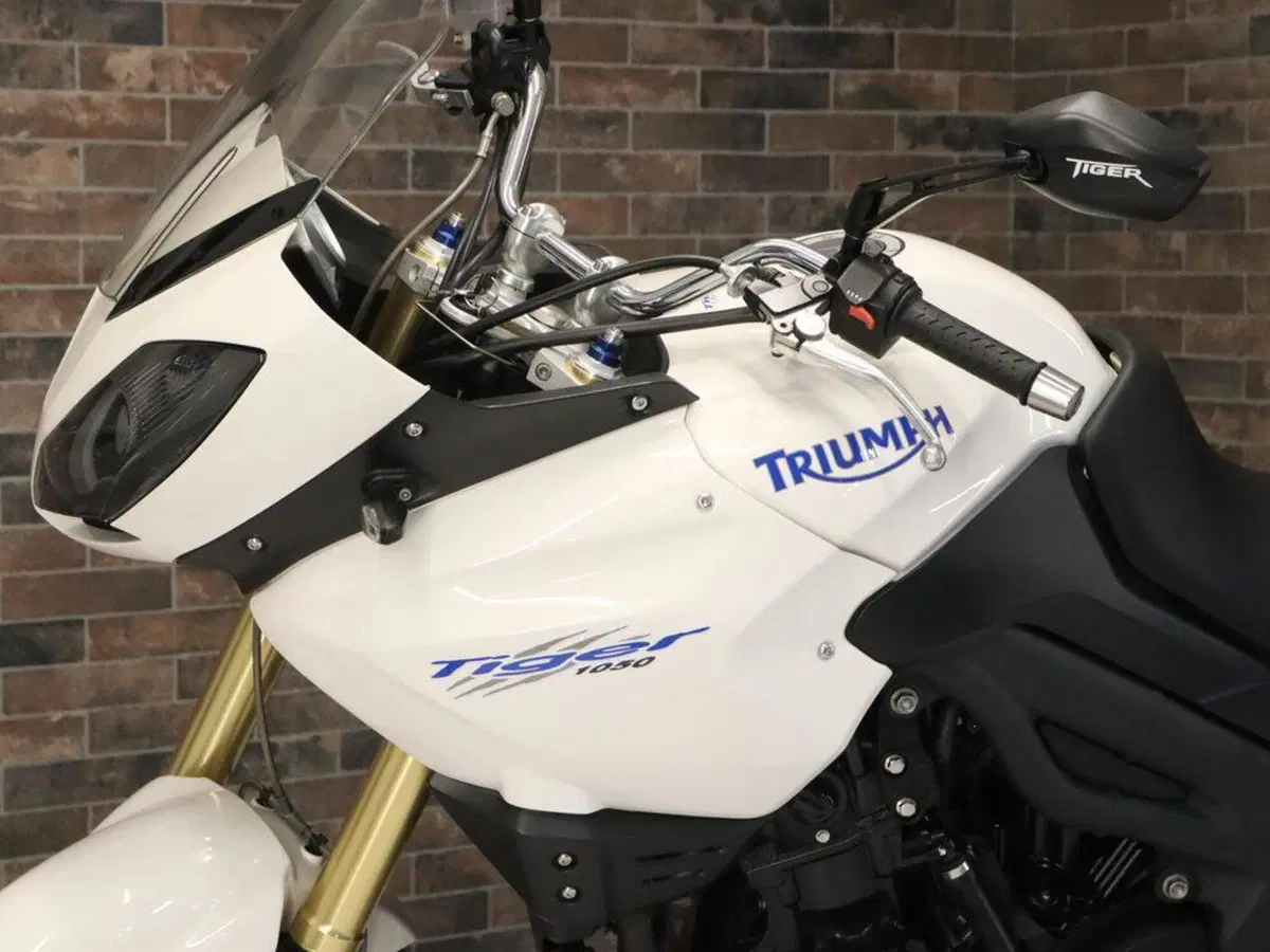 Triumph Tiger 1050 ABS (2006 - 12) (9)