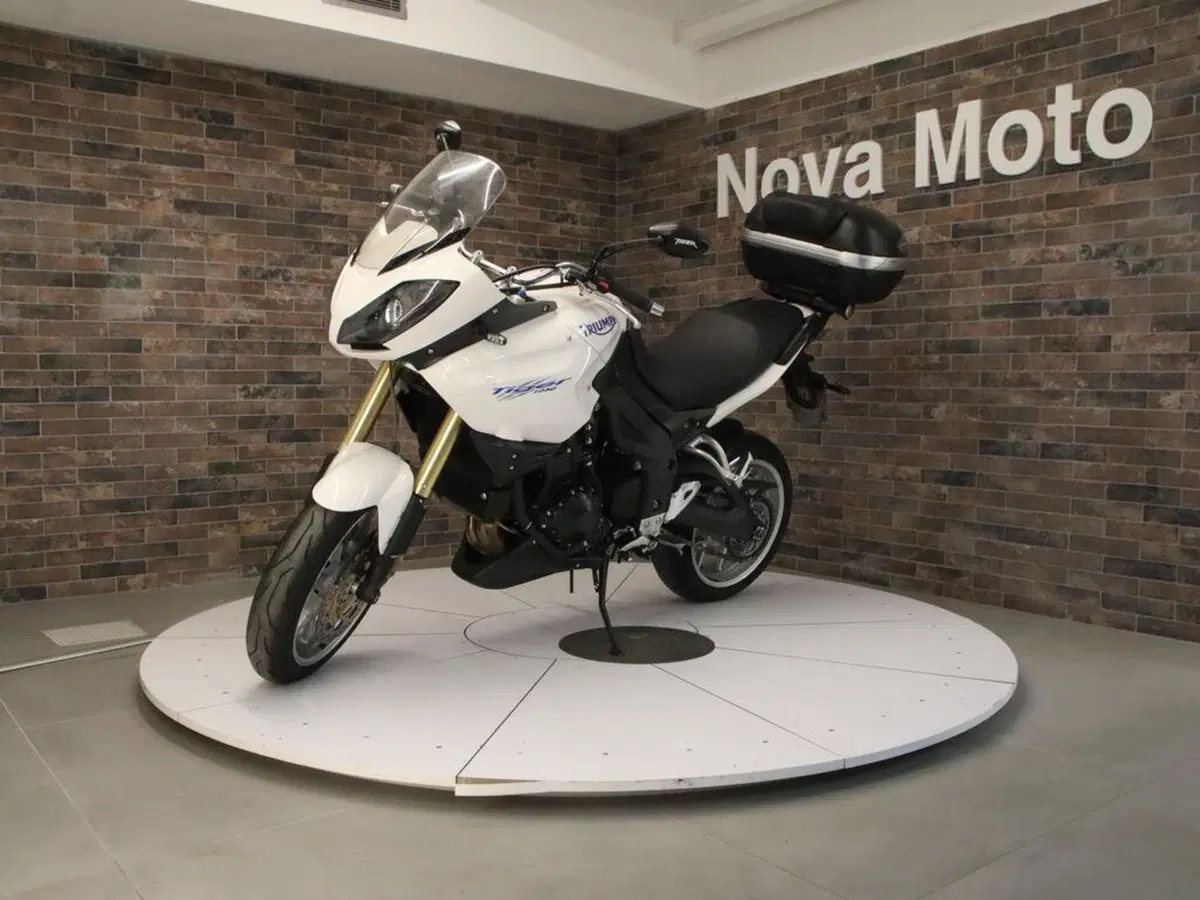 Triumph Tiger 1050 ABS (2006 - 12) (2)
