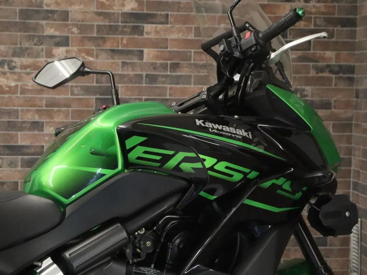 Kawasaki Versys 650 SE (2017) (10)