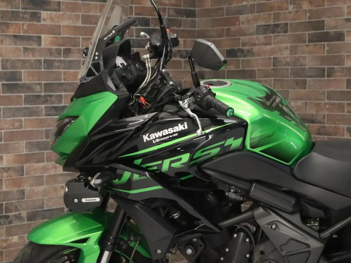 Kawasaki Versys 650 SE (2017) (12)