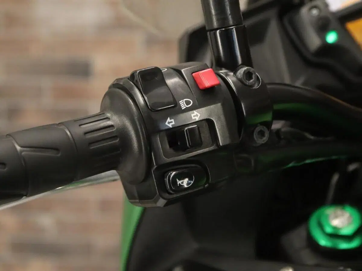Kawasaki Versys 650 SE (2017) (14)