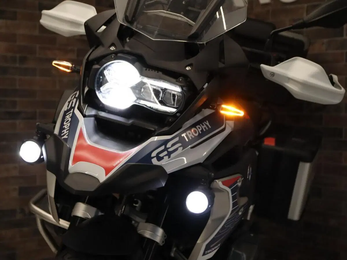 Bmw R 1250 GS (2021 - 24) (9)