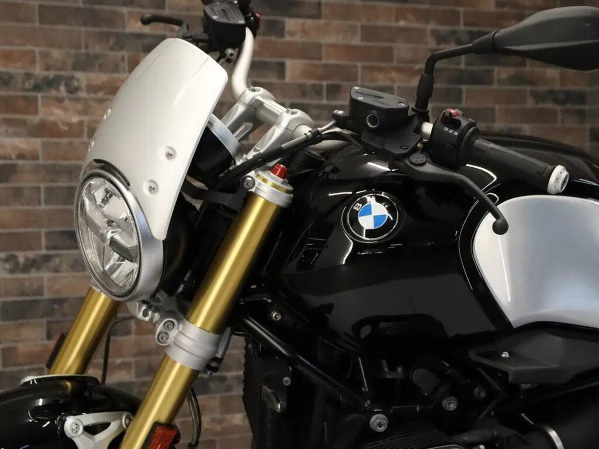 Bmw R nineT 1200 (2017 - 20) (11)