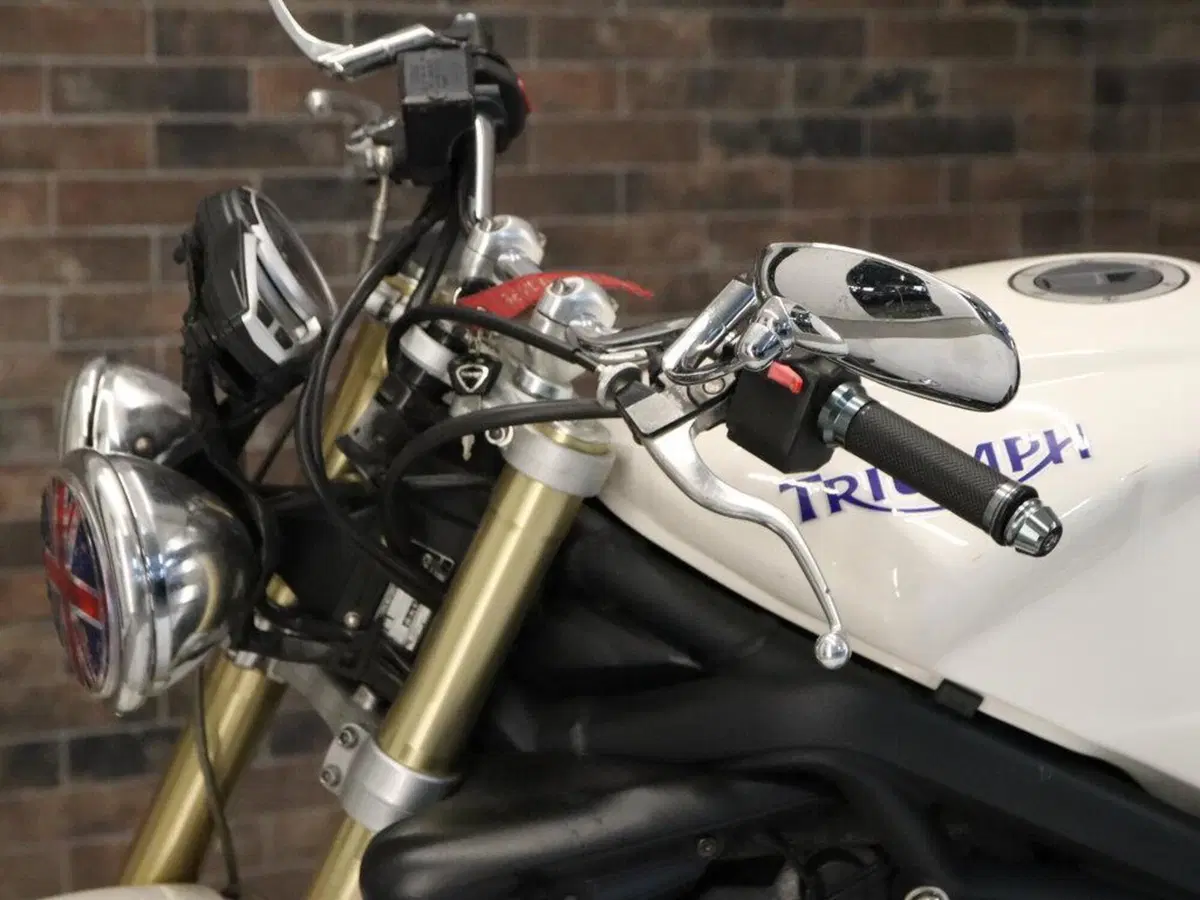 Triumph Street Triple (2007 - 12) (10)