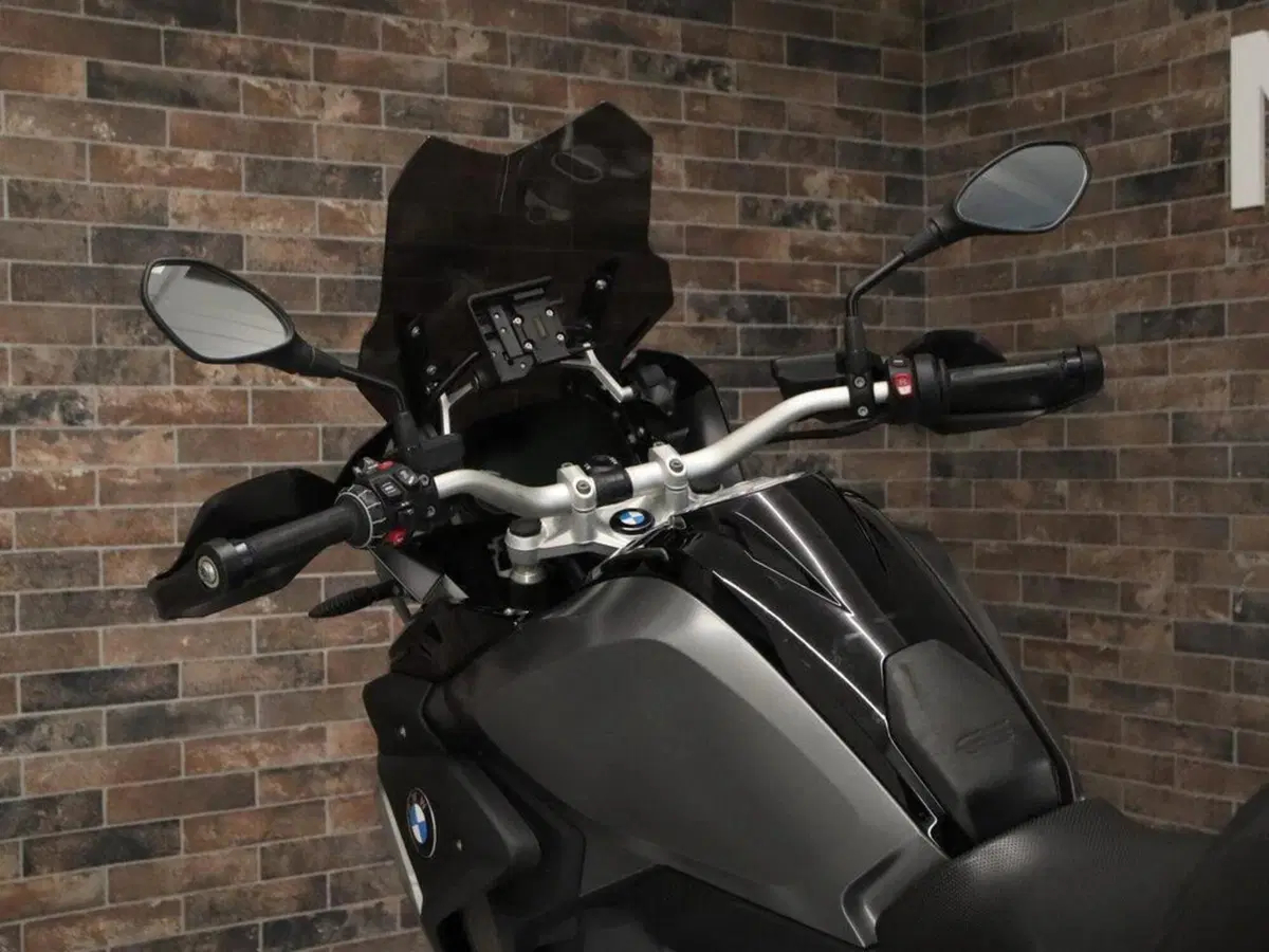 Bmw R 1250 GS (2019 - 20) (11)
