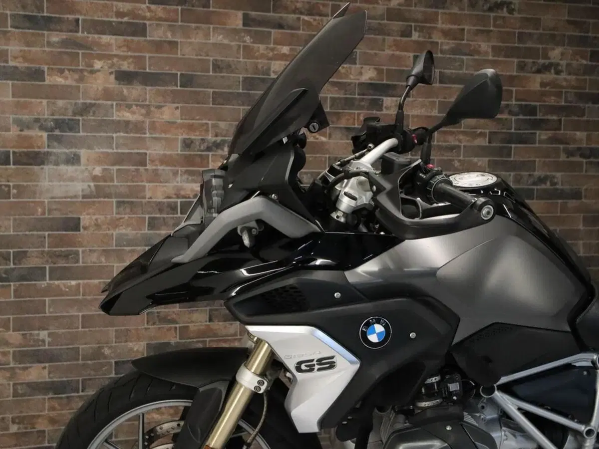 Bmw R 1250 GS (2019 - 20) (13)