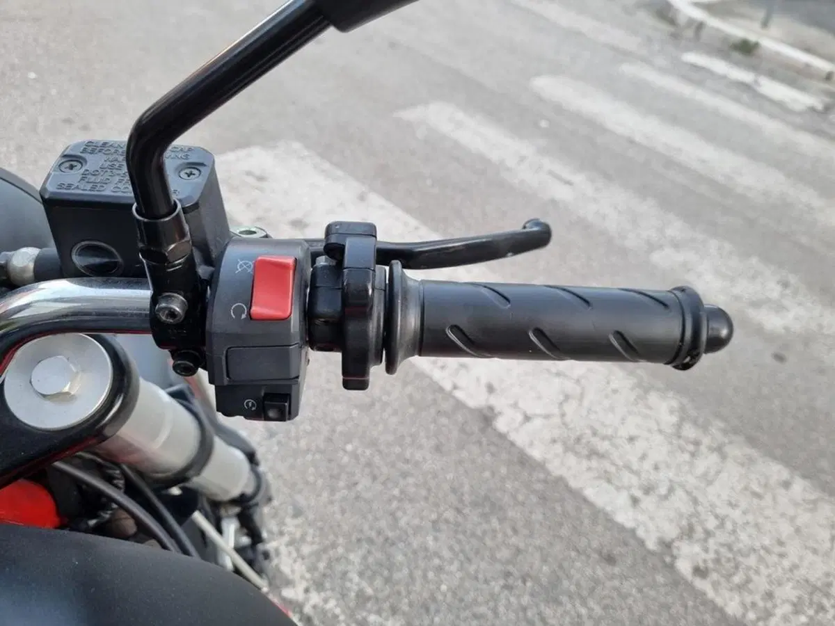 Ducati Monster 695 (2006 - 08) (13)