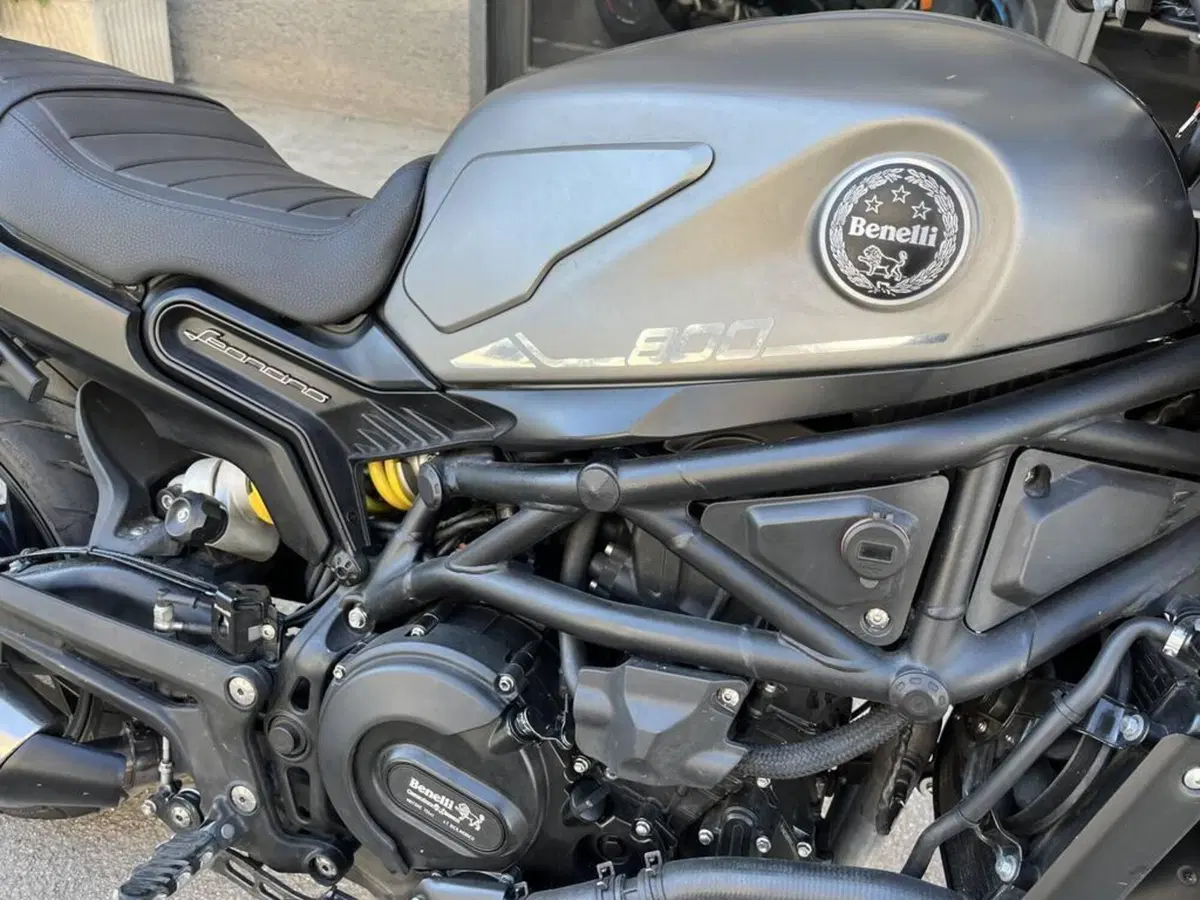 Benelli Leoncino 500 (2021 - 25) (5)