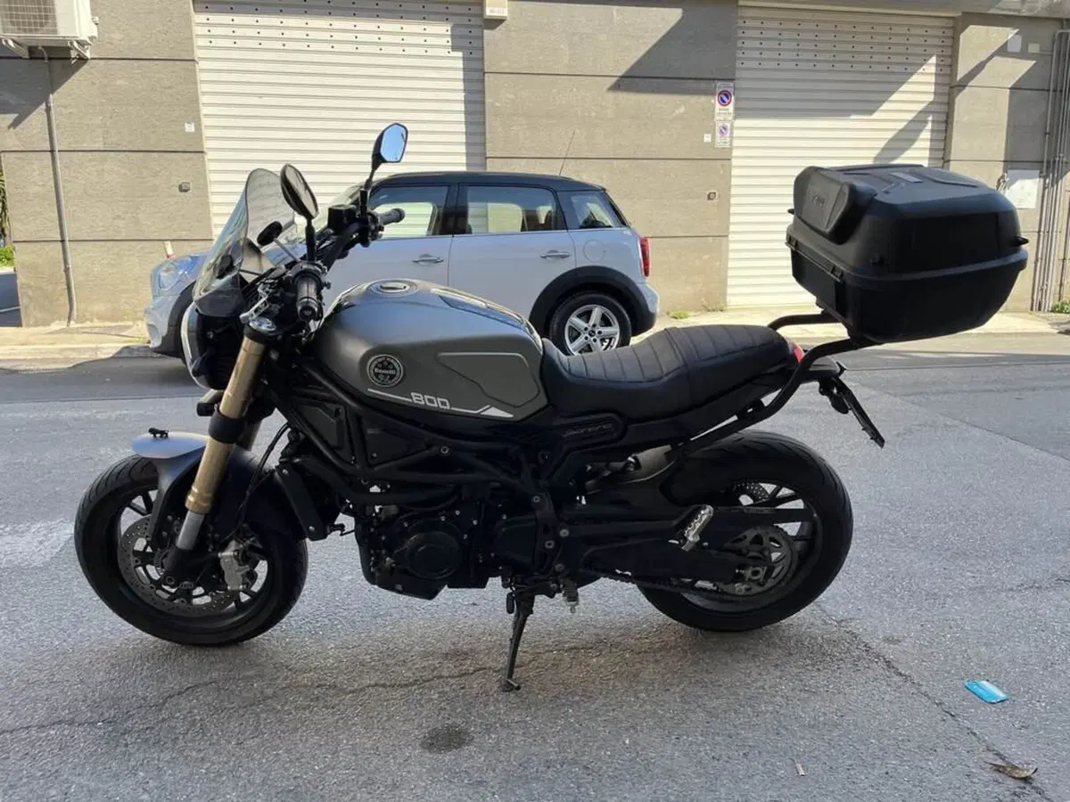 Benelli Leoncino 500 (2021 - 25) (7)