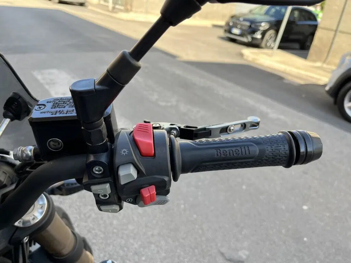 Benelli Leoncino 500 (2021 - 25) (10)