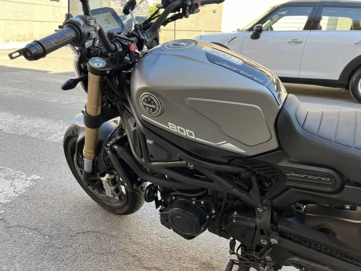 Benelli Leoncino 500 (2021 - 25) (8)