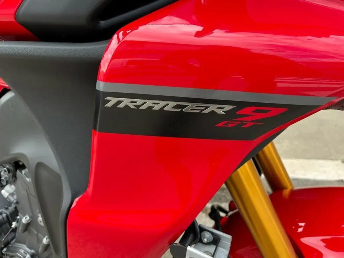 Yamaha MT-09 (2021 - 23) (5)
