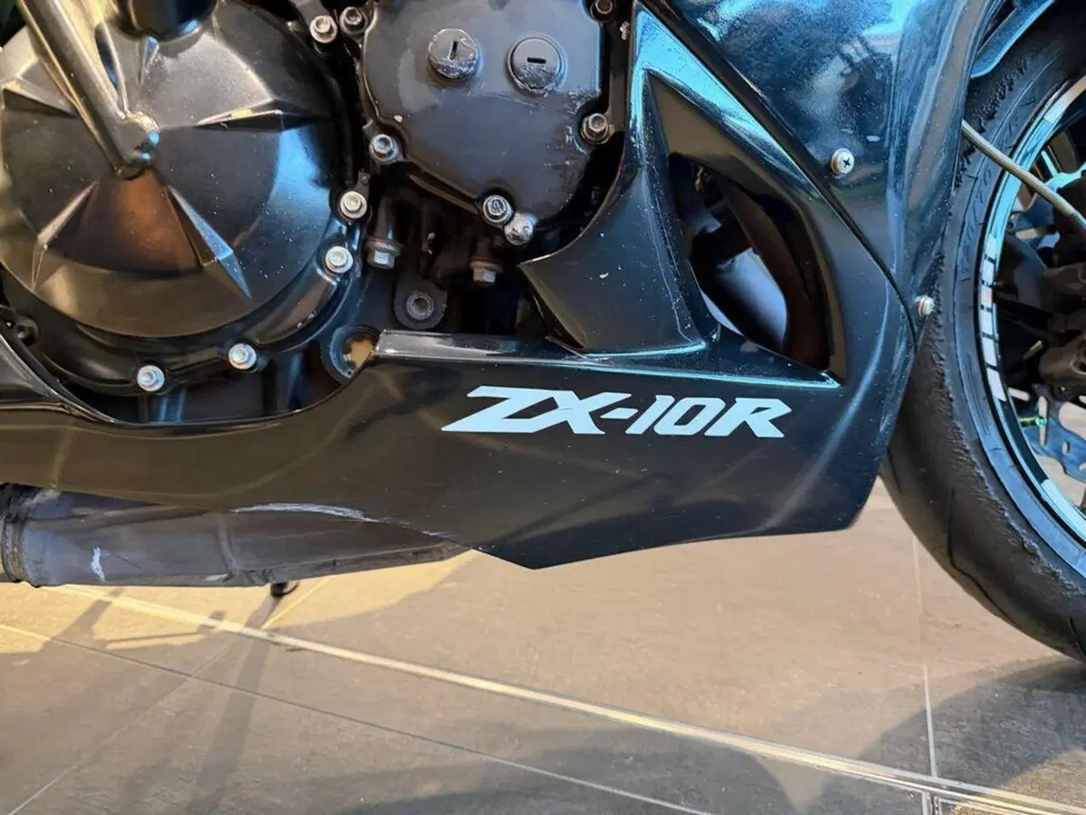 Kawasaki Ninja 1000 ZX-10R (2010 - 11) (2)