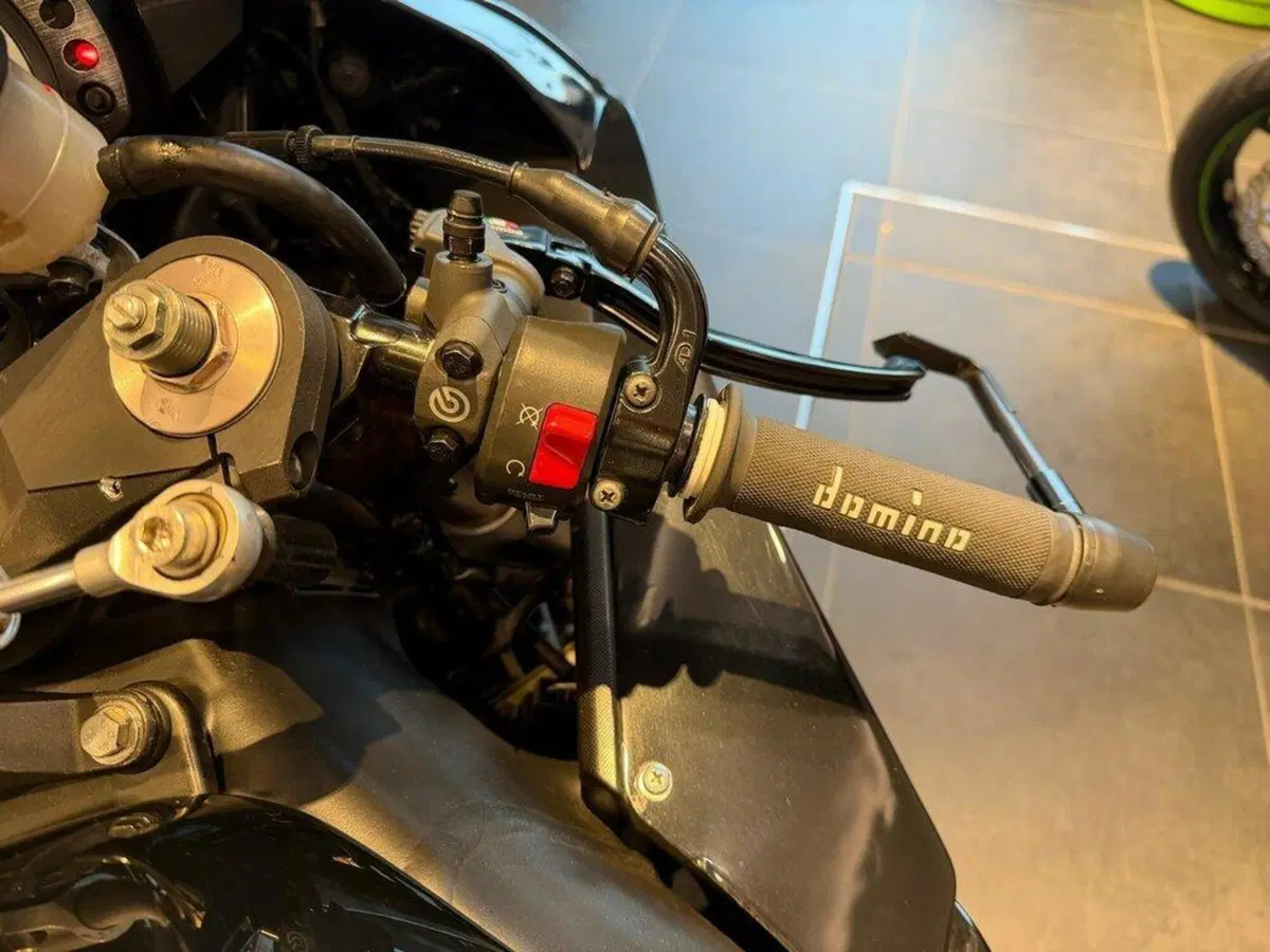 Kawasaki Ninja 1000 ZX-10R (2010 - 11) (6)