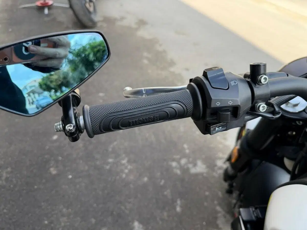 Benelli Leoncino 250 (2019 - 20) (6)