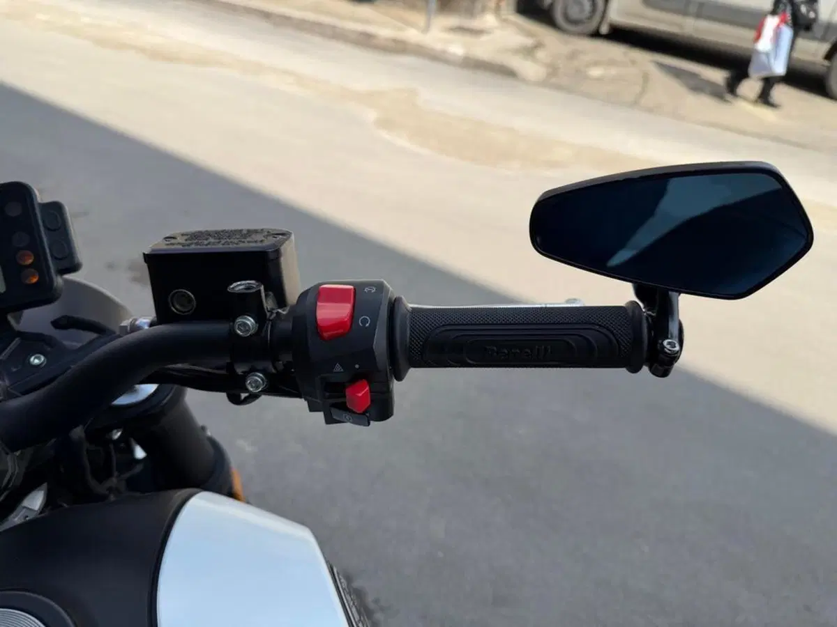 Benelli Leoncino 250 (2019 - 20) (8)