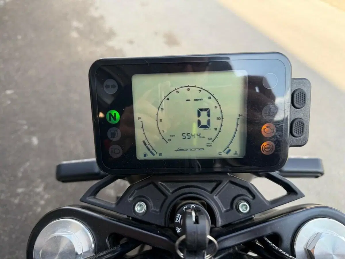 Benelli Leoncino 250 (2019 - 20) (7)