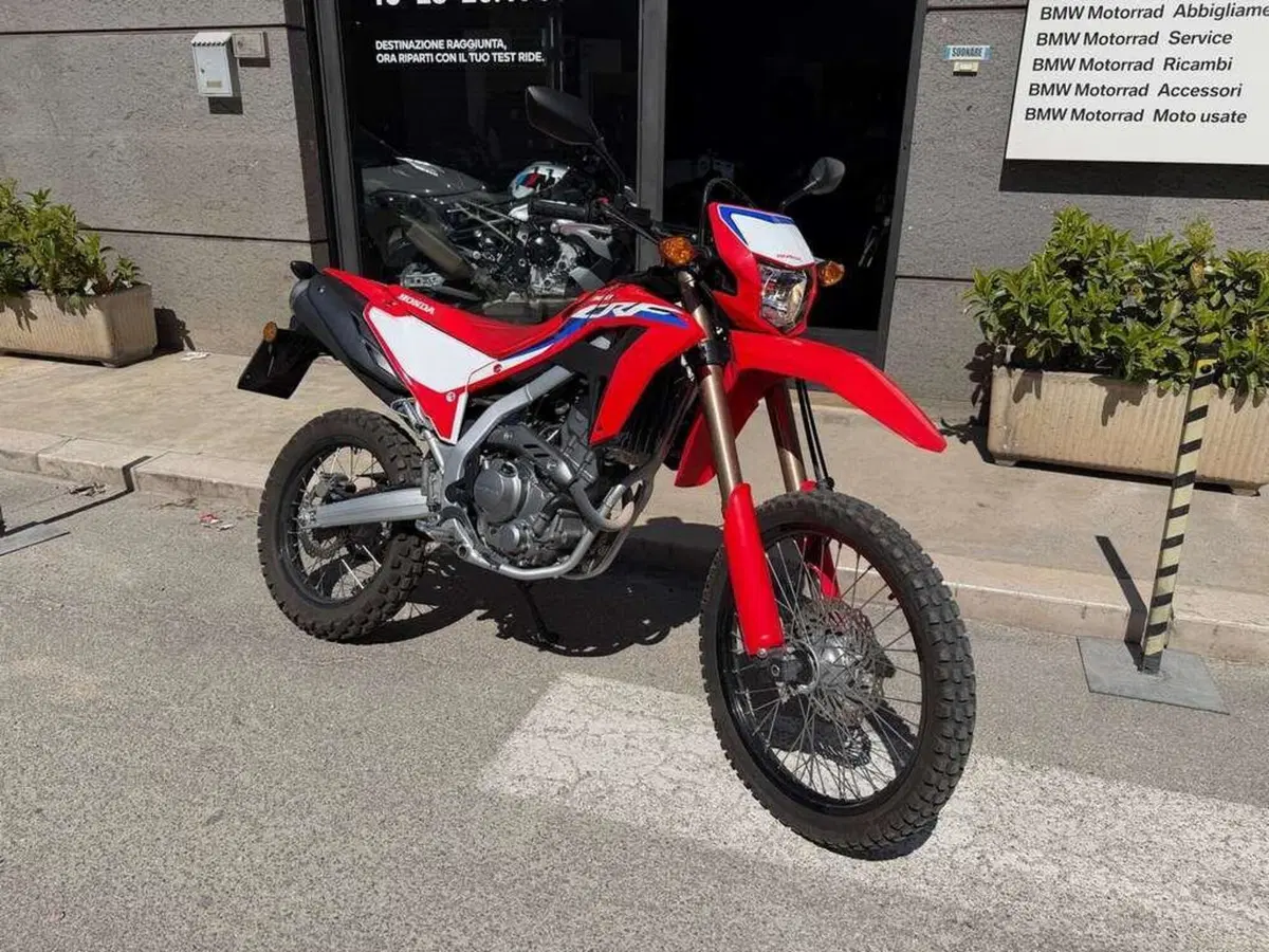 Honda CRF 300L (2021 - 24) (2)