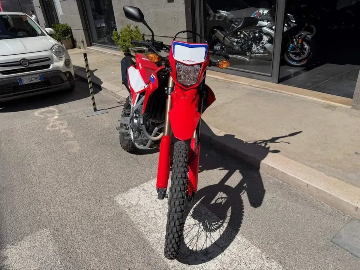 Honda CRF 300L (2021 - 24) (3)
