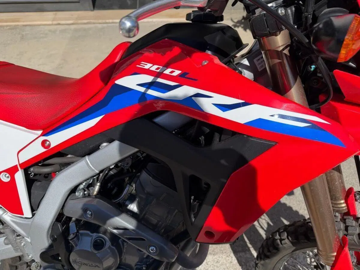 Honda CRF 300L (2021 - 24) (5)
