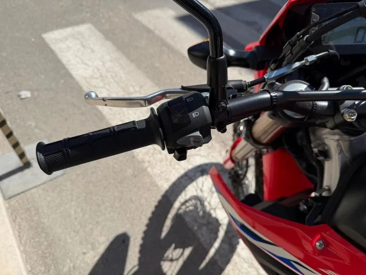 Honda CRF 300L (2021 - 24) (7)
