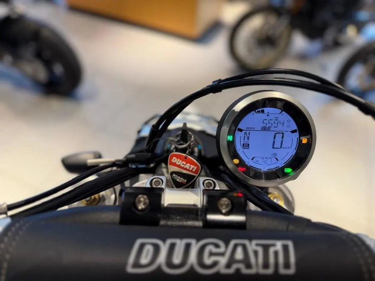Ducati Scrambler 800 Desert Sled (2021 - 22) (9)