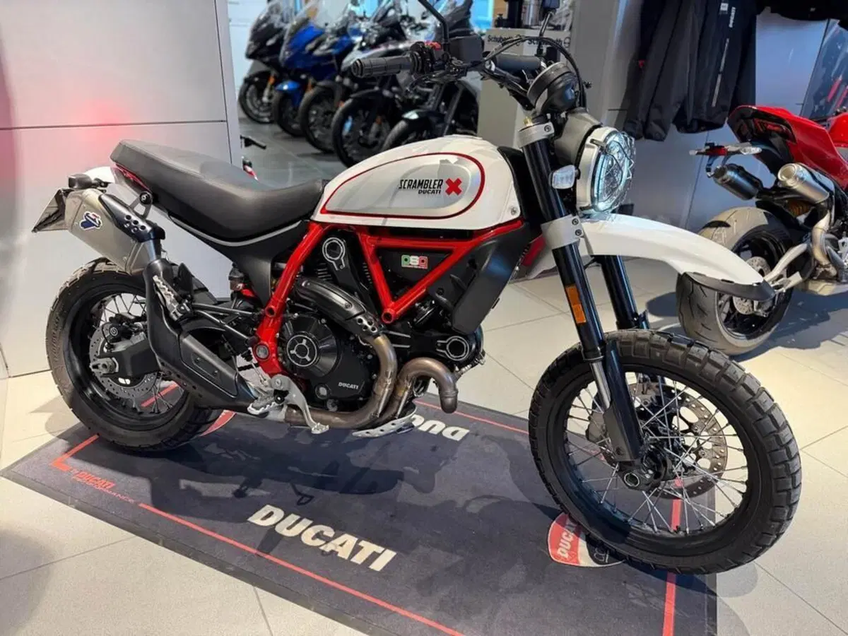 Ducati Scrambler 800 Desert Sled (2021 - 22) (3)