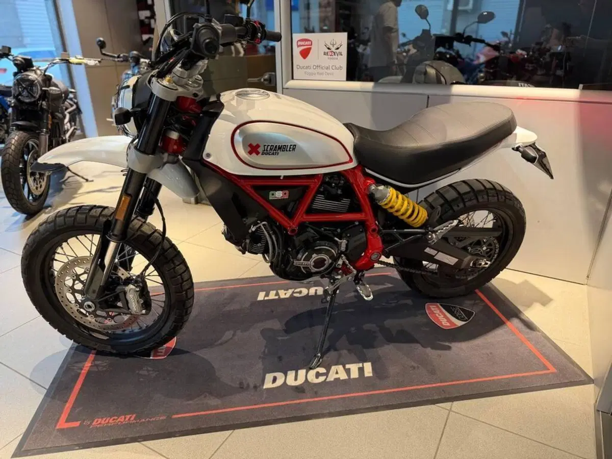 Ducati Scrambler 800 Desert Sled (2021 - 22) (6)