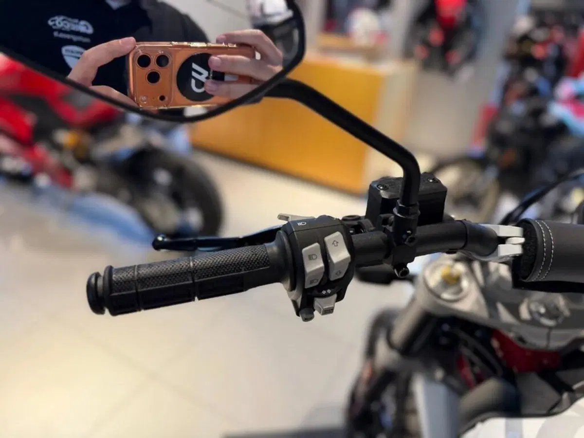 Ducati Scrambler 800 Desert Sled (2021 - 22) (8)