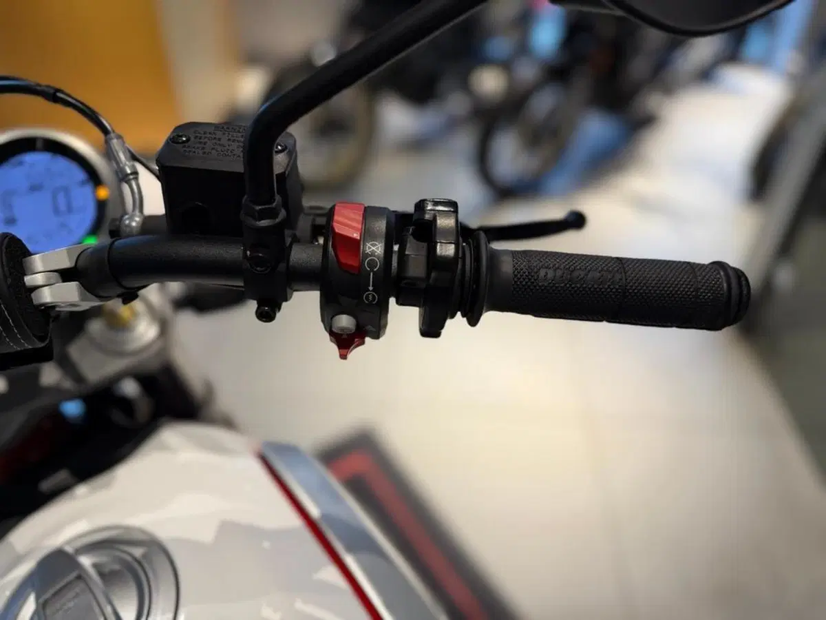 Ducati Scrambler 800 Desert Sled (2021 - 22) (10)