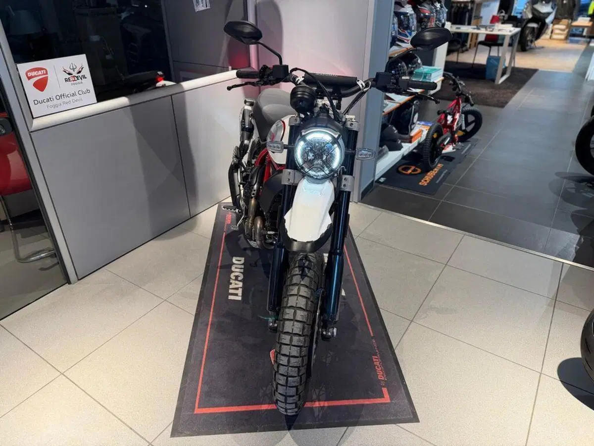 Ducati Scrambler 800 Desert Sled (2021 - 22) (4)