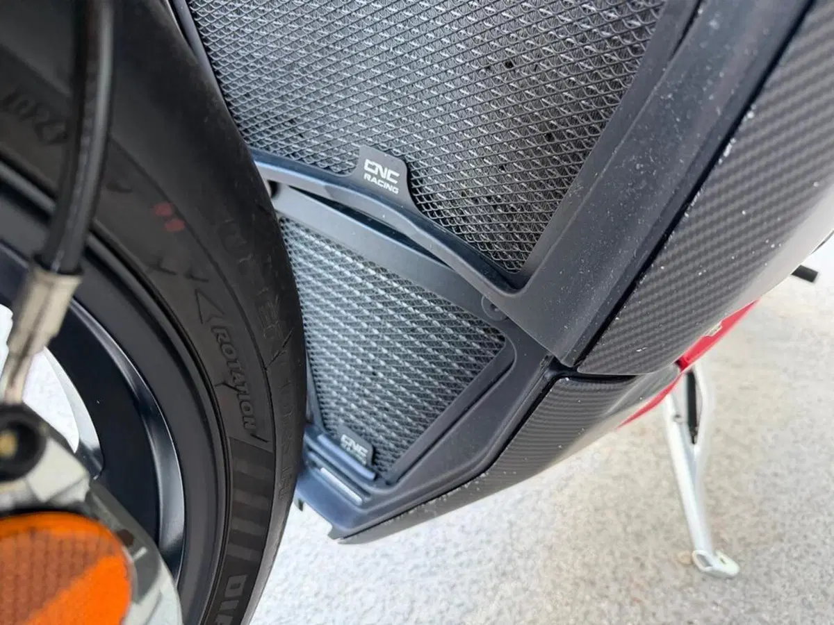 Ducati Streetfighter V4 1100 S (2021 - 22) (13)