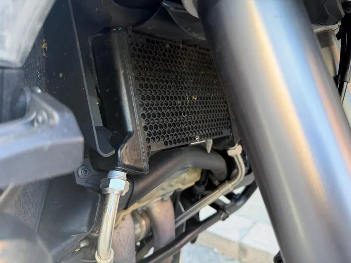 Ducati Multistrada V4 Rally (2023 - 25) (5)