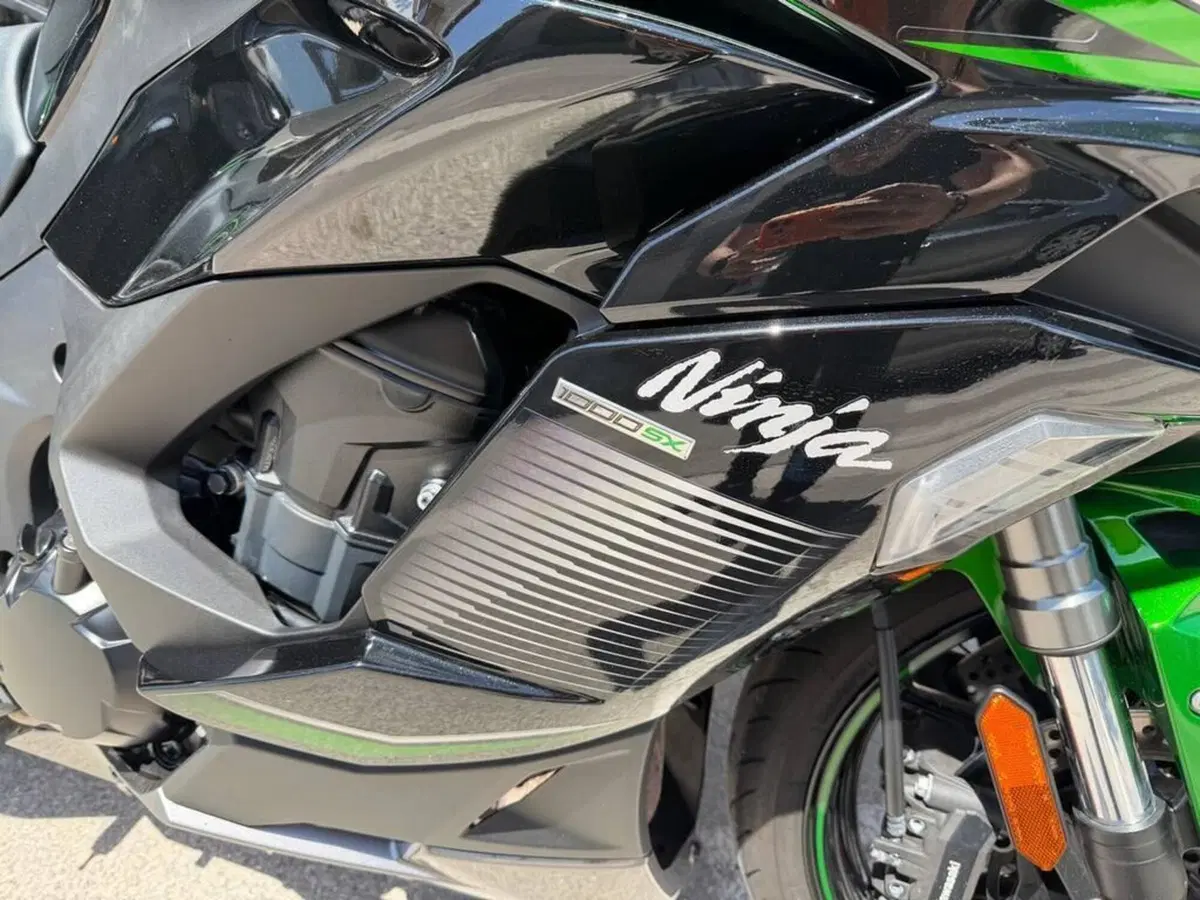 Kawasaki Ninja 1000 SX Tourer (2021 - 24) (5)