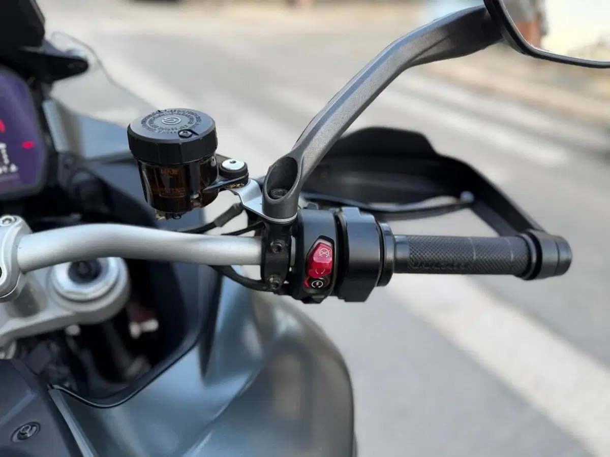Ducati Multistrada V4 S (2021 - 24) (11)