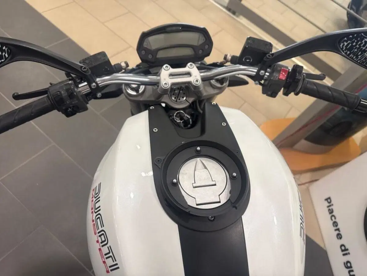 Ducati Monster 696 Plus (2007 - 14) (6)