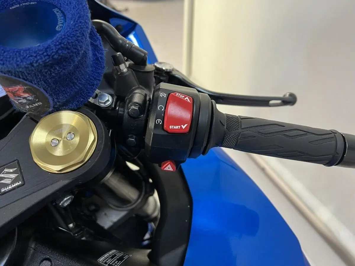Suzuki GSX-R1000 (2017 - 18) (8)