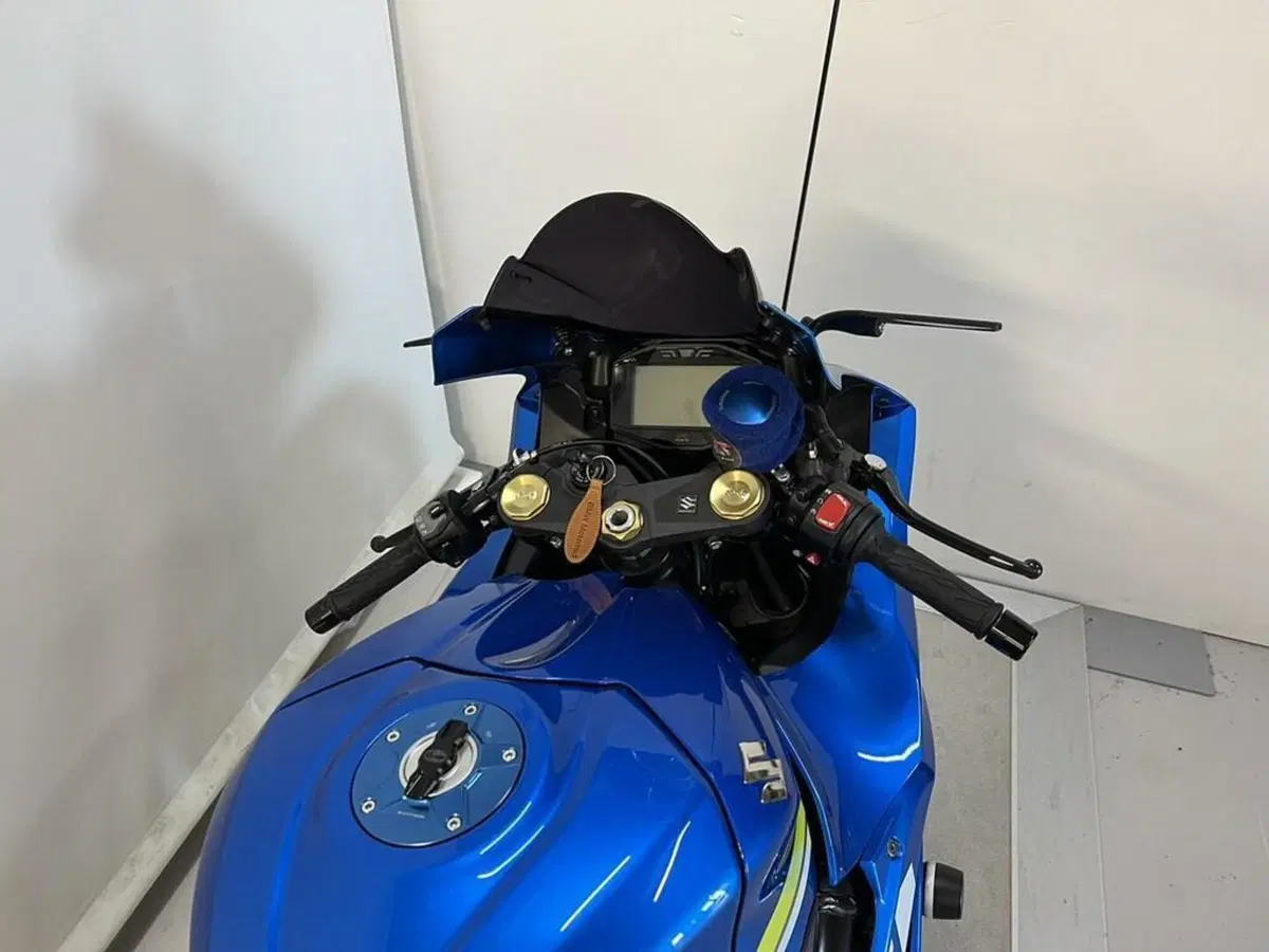 Suzuki GSX-R1000 (2017 - 18) (9)