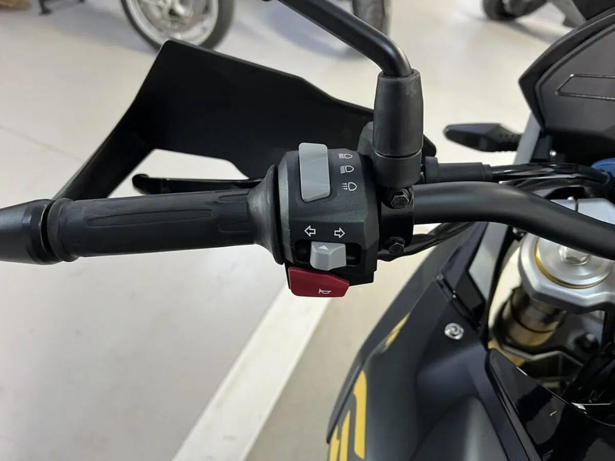 Bmw G 310 GS (2021 - 25) (6)