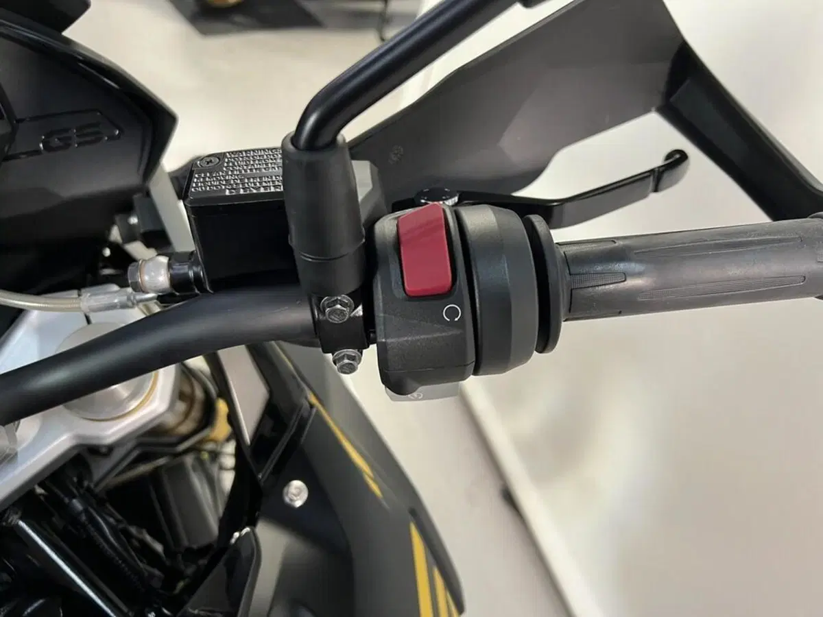 Bmw G 310 GS (2021 - 25) (8)
